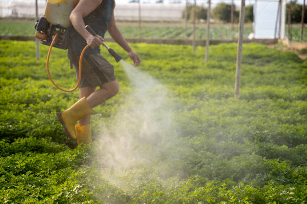 Best Affordable Pest Control Services  in Woodbury, MN